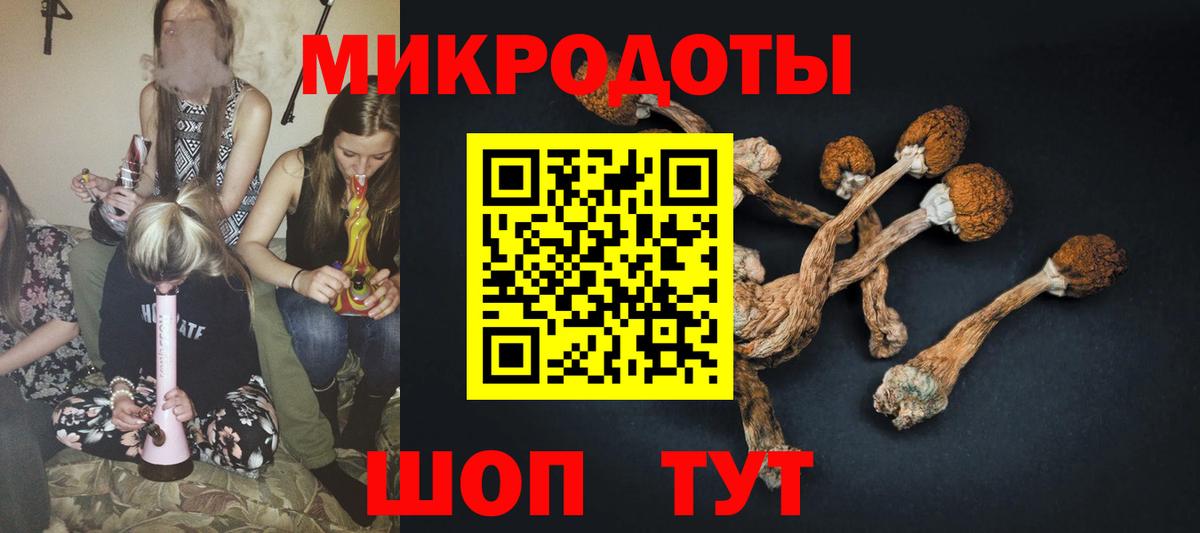 Галлюциногенные грибы Magic Shrooms  Псилоцибиновые грибы Psilocybe  Йошкар-Ола  Вход с VPN 