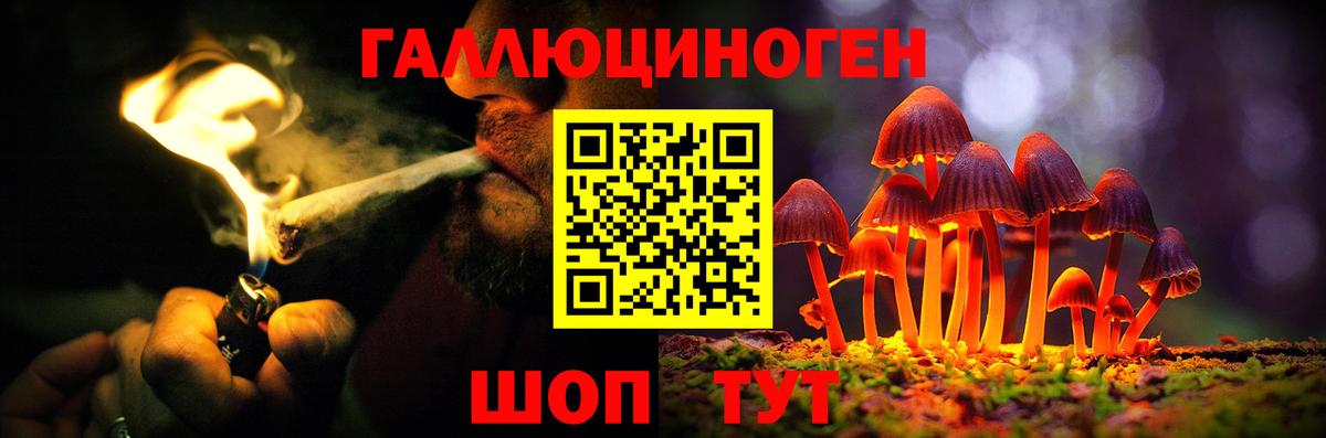 Псилоцибиновые грибы прущие грибы Йошкар-Ола